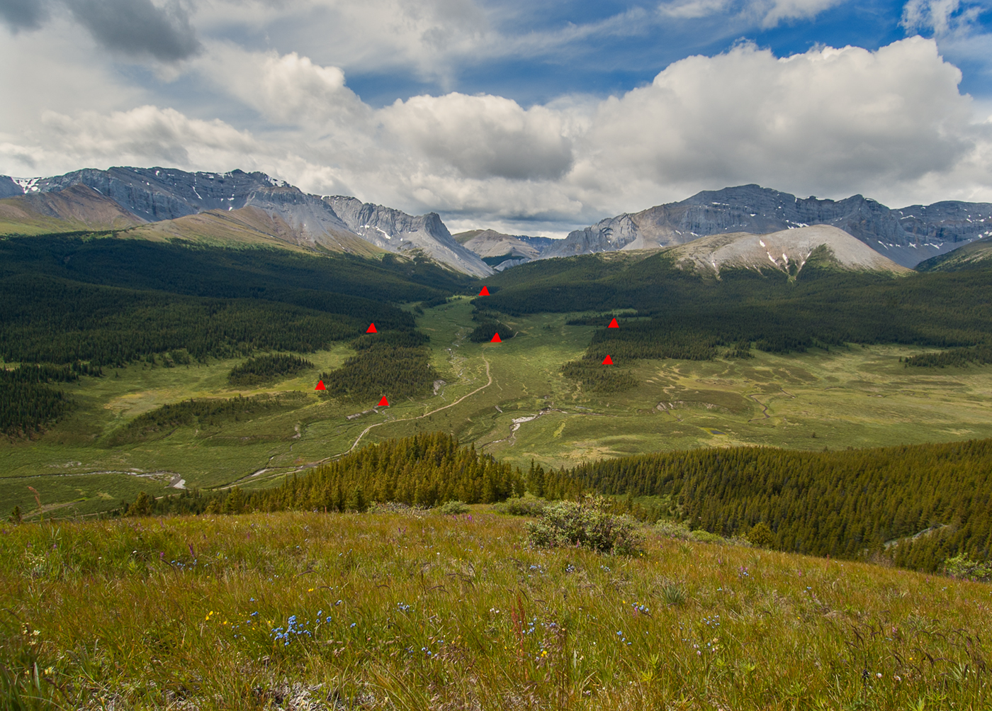 Willmore Wilderness Park, Rocky Mountains, Alberta, Canada